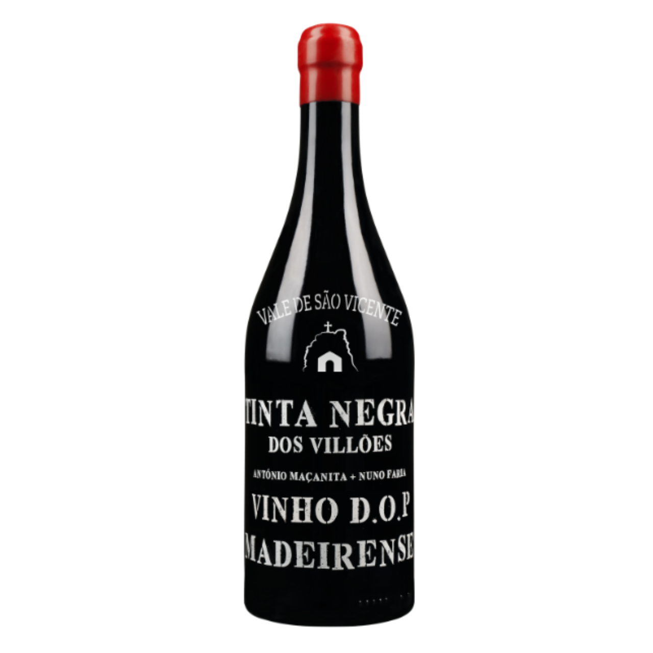 Vinho Tinto: Tinta Negra dos Villões, Vale de São Vicente (2022)
