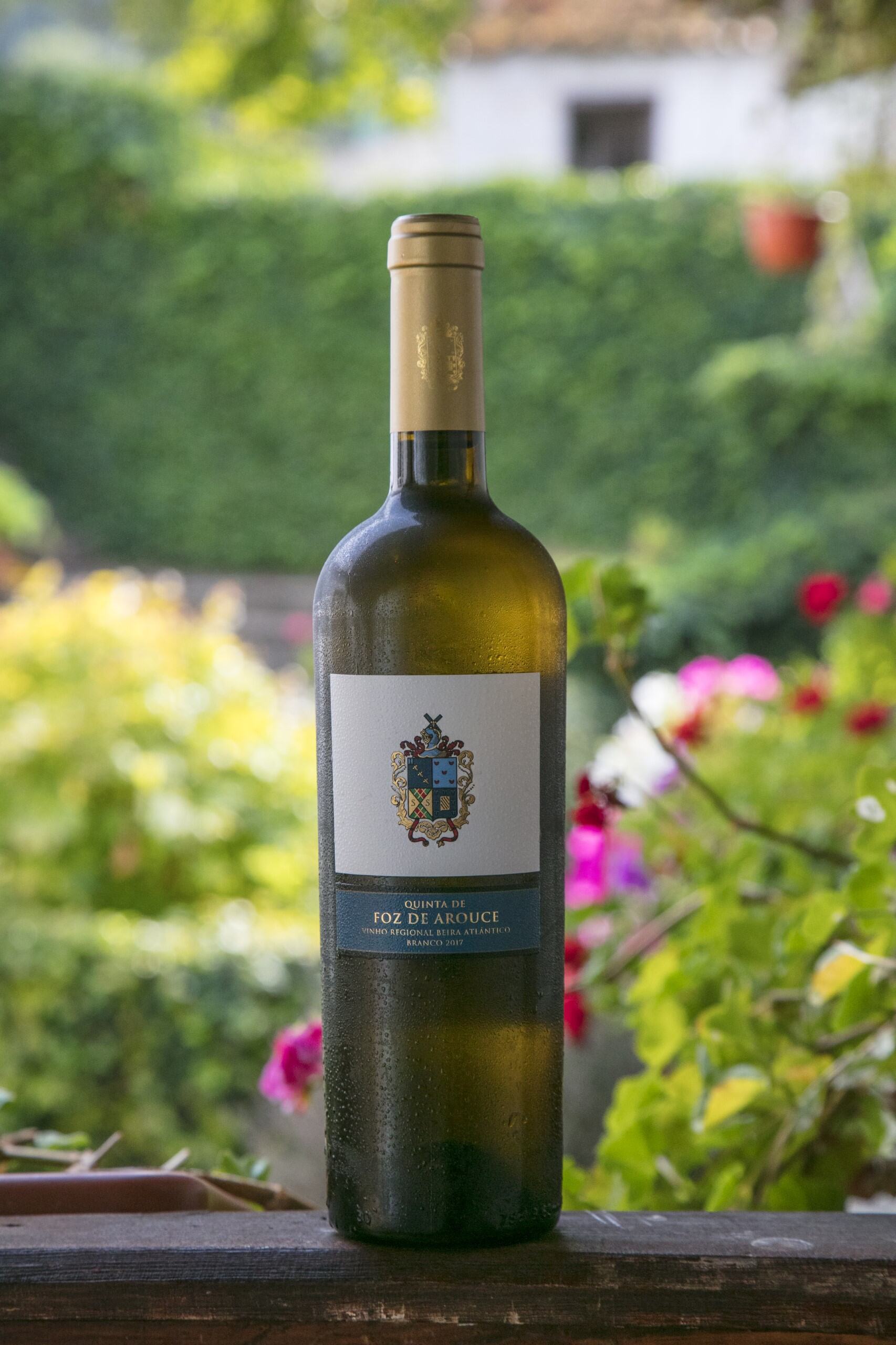 White Wine: Quinta de Foz de Arouce (2017) with condensation, set against a lush green and floral garden backdrop.